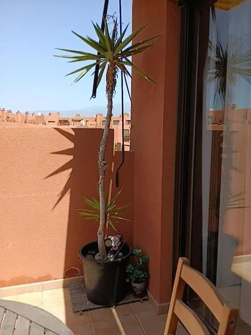 Apartamento Con Vistas El Médano 0*,  España
